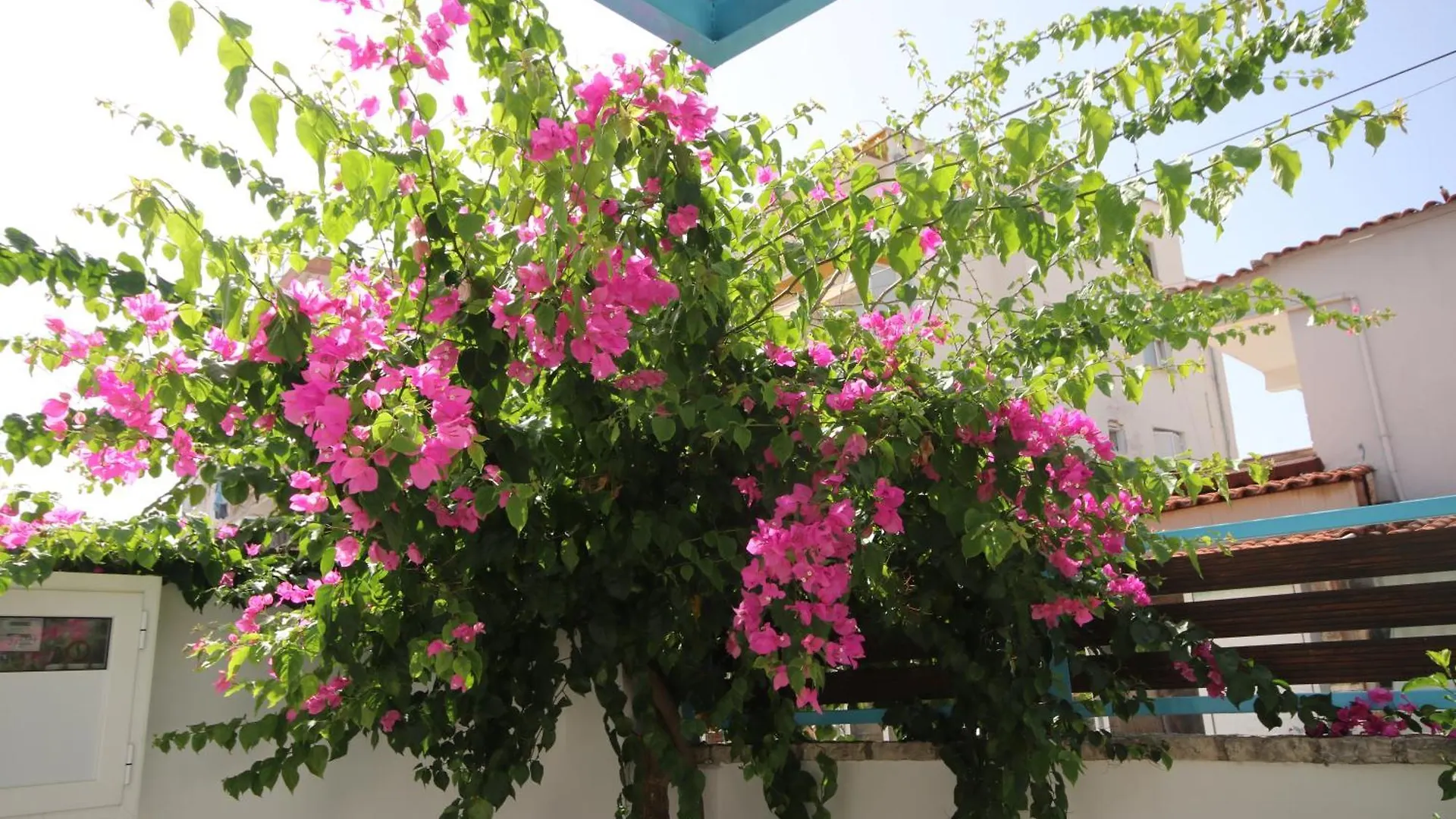 Anemos Villa Himare 0*,